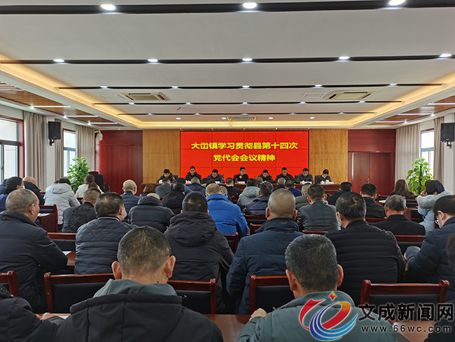 大溪最新動(dòng)態(tài)速遞