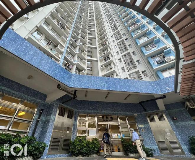香港公屋最新動(dòng)態(tài)，溫馨日常趣事分享