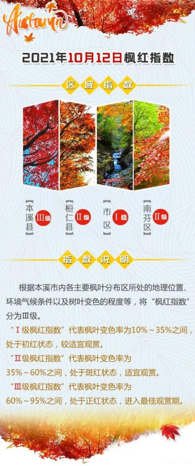 楓葉紅了最新——小巷美食的秘密