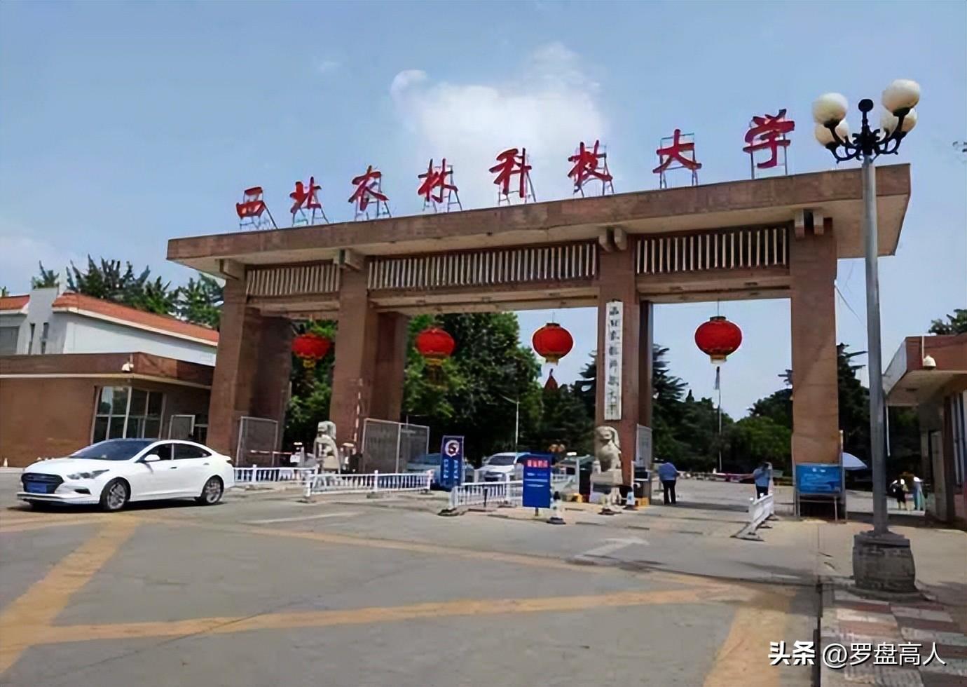 最新科技技術(shù)，雙刃劍的探討與挑戰(zhàn)