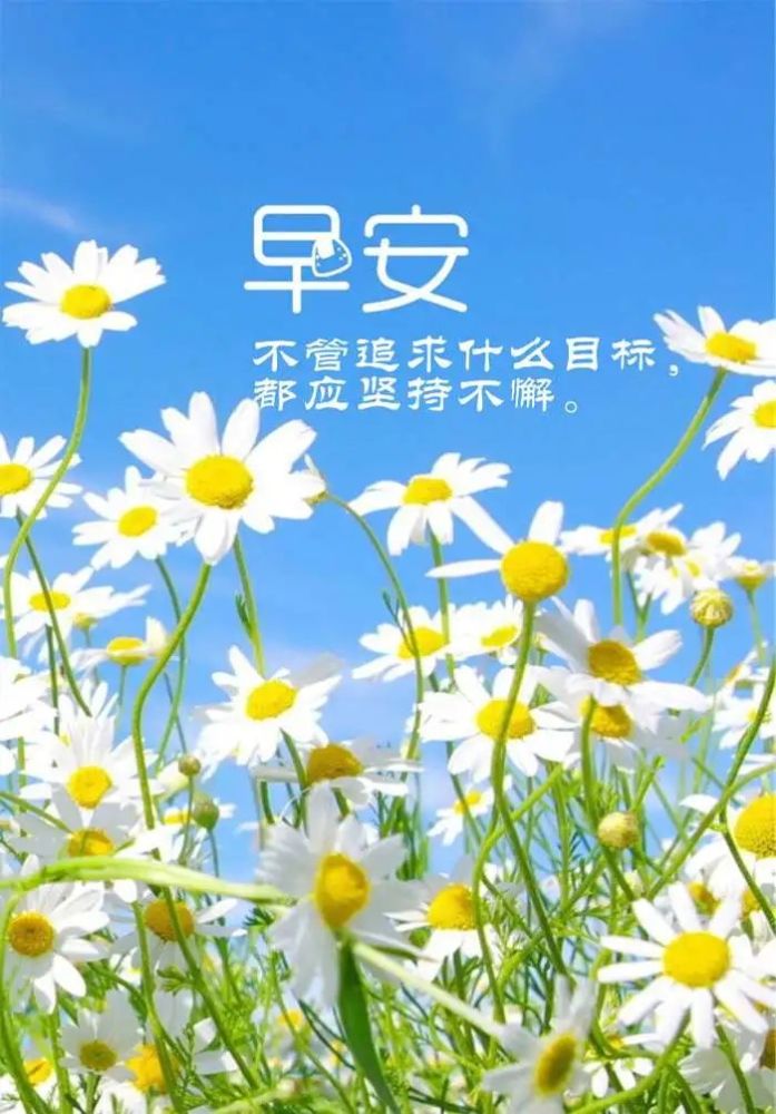 最新早安心語，開啟美好一天的詳細步驟與心靈寄語