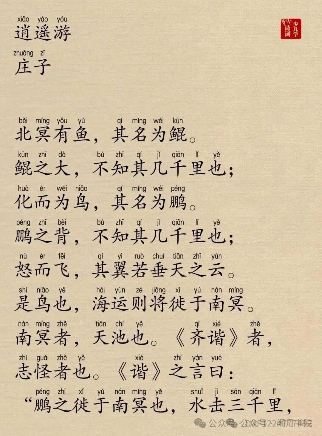 逍遙游最新章節(jié)探索與爭議閱讀