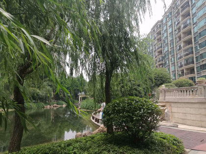 漢陽恒大綠洲最新房價動態(tài)，變化中的學(xué)習(xí)與自信的力量