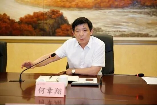 鎮(zhèn)江雷志強的最新任職，多維度視角下的深入探討